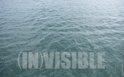 (IN)VISIBLE. Carole Sionnet