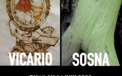 Vicario & Sosna 2026